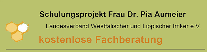 LOGOSchulungsprojektaumeie