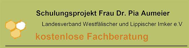 LOGOSchulungsprojektaumeie